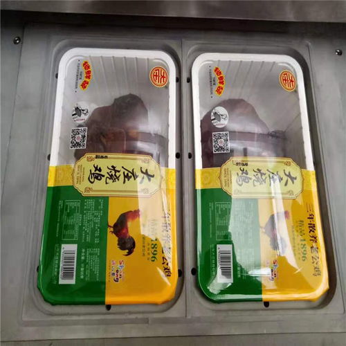 不銹鋼盒式包裝機(jī)廠家全方位咨詢服務(wù)指南 多圖詳解與選購要點