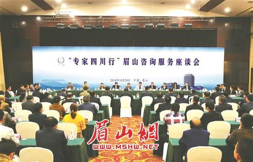 專家四川行 眉山咨詢服務(wù)座談會成功舉行，共繪發(fā)展新藍圖