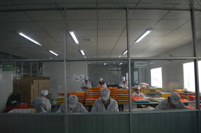 艾爾時(shí)手表代工裝備一覽